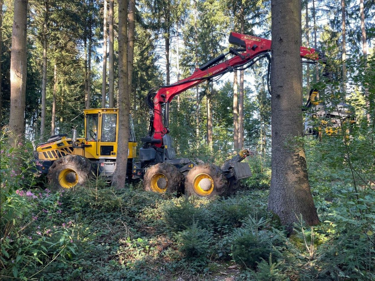 Forstmaschine von KRENN Holz & Forst bei der Holzernte im Wald